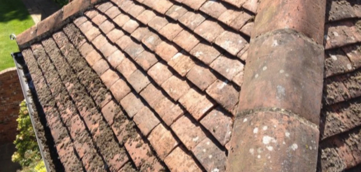 Surrey Roof & Gutter Clean News Story Image For Is your roof safe for Santa? - roof and gutter cleaning, patio cleaning services,  Recurring Contracts, Gutter Cleaning, roof and gutter clean,  Pressure Washing,  Commercial Services, Surrey Roof & Gutter Clean, Biocide Treatment, Moss Removal,  Residential Services, Roof cleaning in Surrey