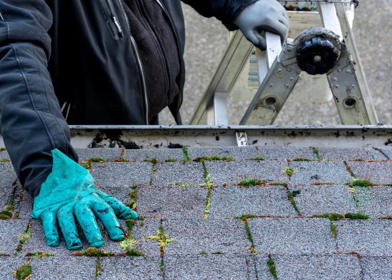 Image for Surrey Roof & Gutter Clean Moss Removal item -Gutter Cleaning, Moss Removal,  Recurring Contracts, roof and gutter cleaning,  Commercial Services, patio cleaning services,  Residential Services, roof and gutter clean,  Pressure Washing, Biocide Treatment, Surrey Roof & Gutter Clean, Roof cleaning in Surrey